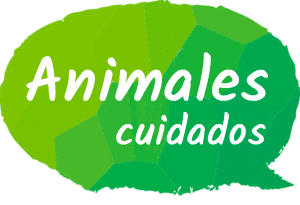 animales-cuidados